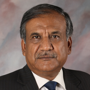 Mr Deepak Gupta (Honorary Director General, NSEFI & Ex Secretary, MNRE)
