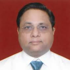Mr Sanjay Nibandhe (Sr. Deputy Director of ARAI)