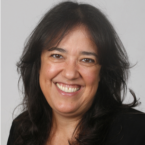 Ms Monica Saraiva Panik (Director Institutional Relations, ABH2 & Mentor Hydrogen SAE Brasil of ABH2 (Brazilian Hydrogen Association))